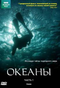 Океаны  (сериал) - (2008 (1 сезон))