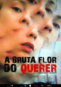 A Bruta Flor do Querer - (2016)