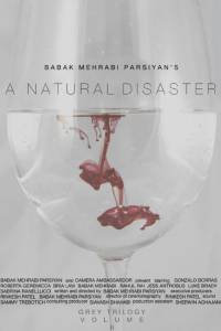 A Natural Disaster - (2016)