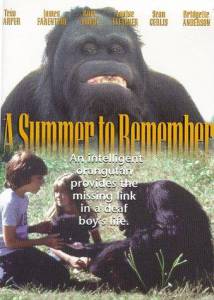 A Summer to Remember () - (1985)