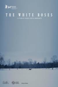 As Rosas Brancas - (2014)