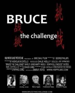 Bruce the Challenge - (2016)