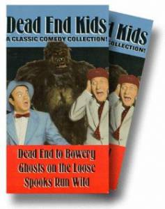 Dead End Kids - (1986)