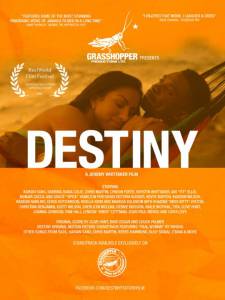 Destiny - (2014)