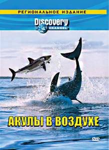 Discovery:    () - (2002)