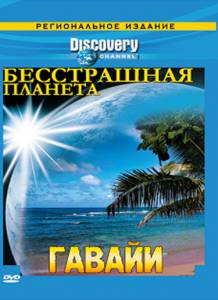 Discovery:   ( 2008  ...) - (2008 (1 ))