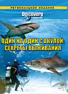 Discovery:     .   () - (2006)
