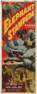 Elephant Stampede - (1951)