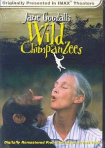 Jane Goodall's Wild Chimpanzees - (2002)