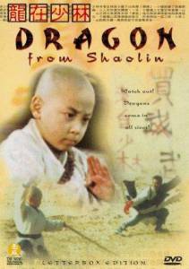 Long zai Shaolin - (1996)