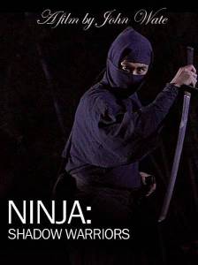 Ninja Shadow Warriors - (2012)