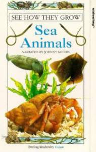 See How They Grow: Sea Animals () - (1995)