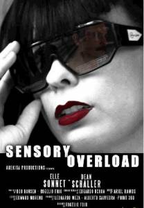 Sensory Overload - (2014)