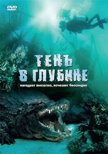 Тень в глубине (ТВ) - (2007)