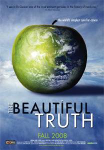 The Beautiful Truth - (2008)