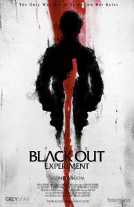 The Blackout Experiment - (2014)