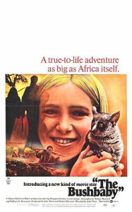 The Bushbaby - (1969)
