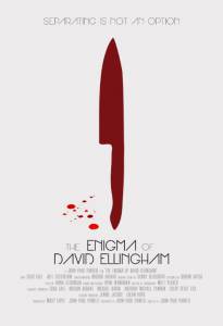 The Enigma of David Ellingham - (2014)