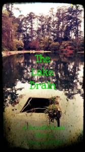 The Lake Drain - (2015)