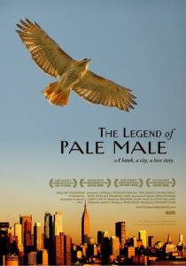 The Legend of Pale Male - (2009)