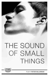 The Sound of Small Things - (2012)