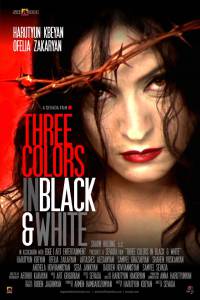 Three Colors in Black & White - (2009)