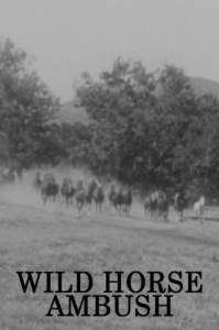 Wild Horse Ambush - (1952)